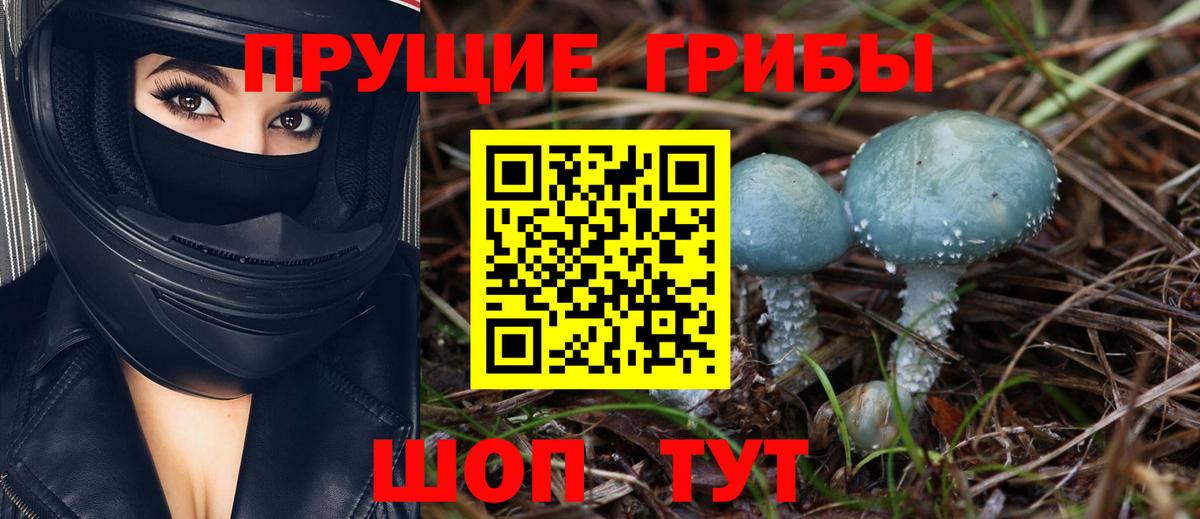 Псилоцибиновые грибы GOLDEN TEACHER Санкт-Петербург