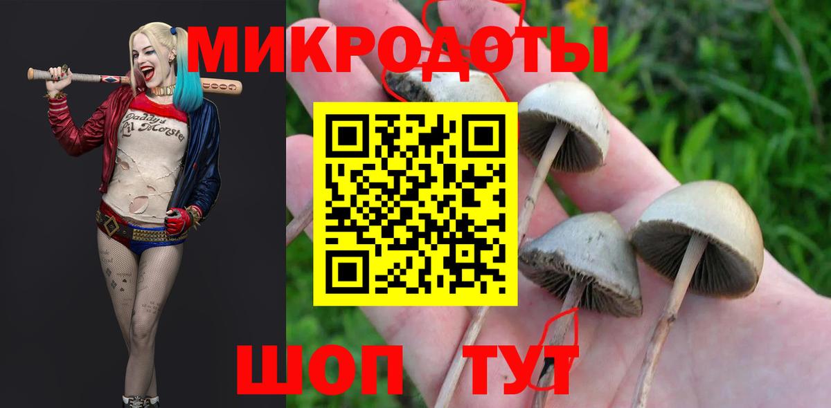 Санкт-Петербург  продажа наркотиков  Вход с VPN  Галлюциногенные грибы прущие грибы 